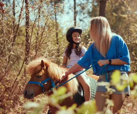 Pony Walk